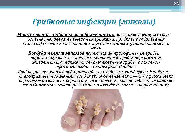 23 Грибковые инфекции (микозы) Микозами или грибковыми заболеваниями называют группу кожных болезней человека, вызываемых