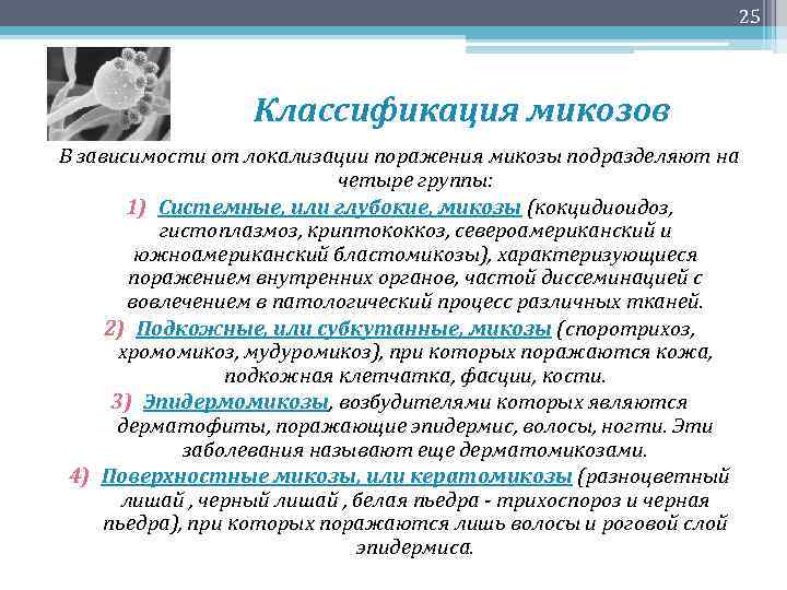 25 Классификация микозов В зависимости от локализации поражения микозы подразделяют на четыре группы: 1)