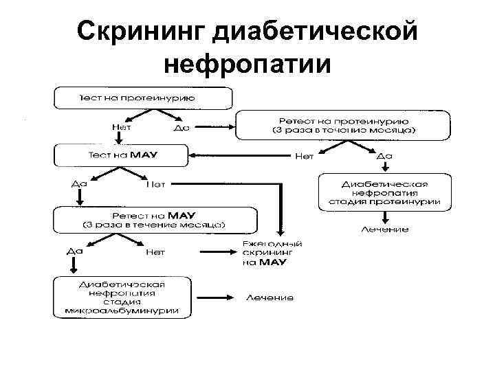 Механизм формирования хбп при сд схема