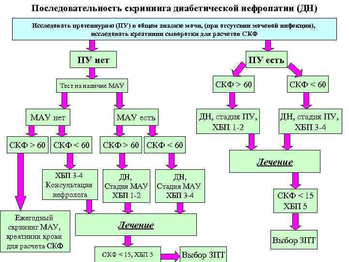 Механизм формирования хбп при сд схема