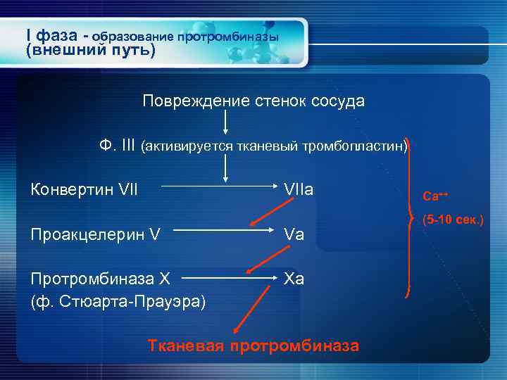 I фаза - образование протромбиназы (внешний путь) Повреждение стенок сосуда Ф. III (активируется тканевый