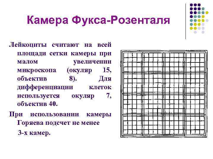 Камера для подсчета клеток в биологических образцах мочи