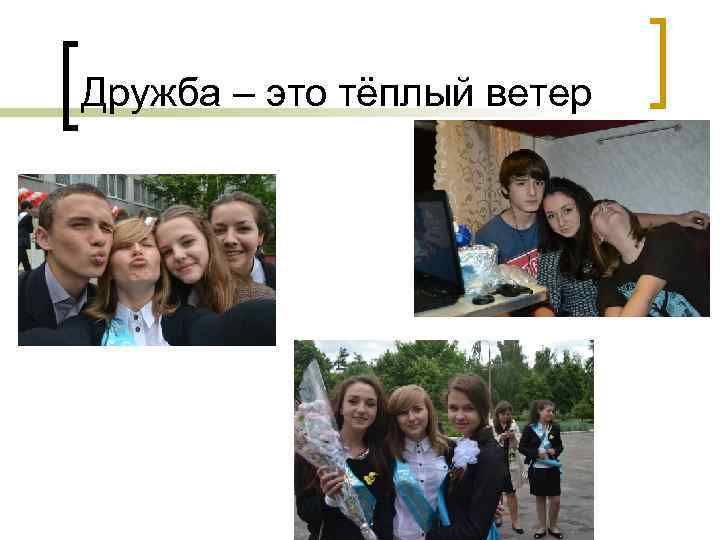 Дружба – это тёплый ветер 