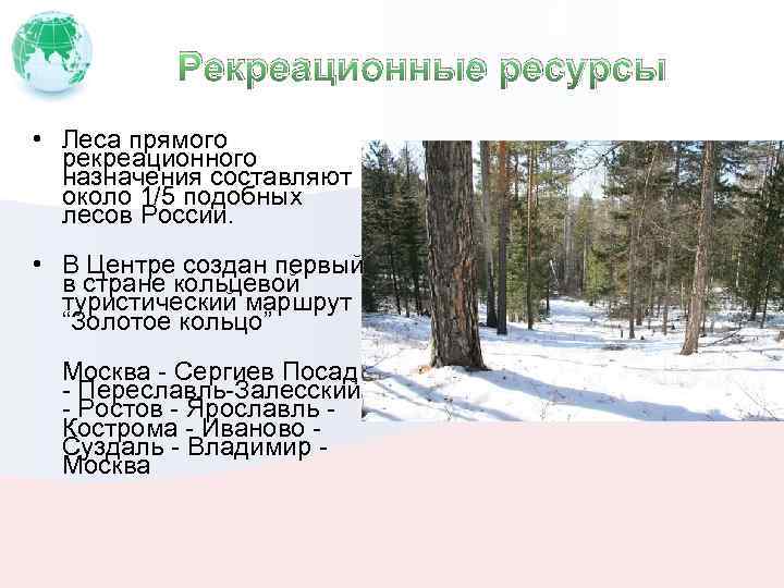 Рекреационная деятельность в лесах