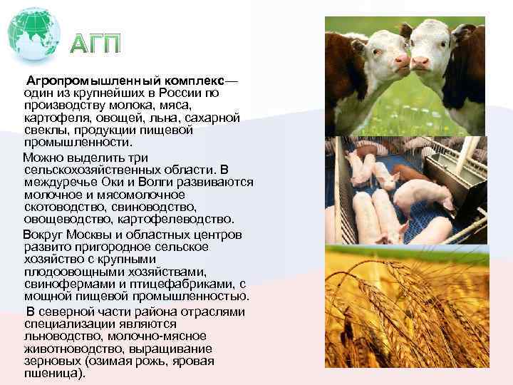 АГП Агропромышленный комплекс— один из крупнейших в России по производству молока, мяса, картофеля, овощей,