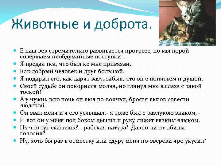 Животные и доброта. В наш век стремительно развивается прогресс, но мы порой совершаем необдуманные