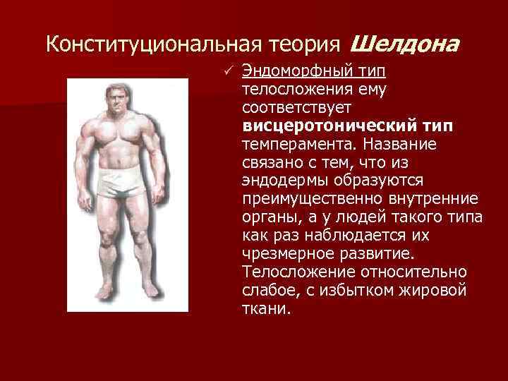 Теория шелдона