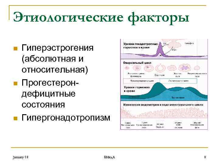 Этиологические факторы n n n Гиперэстрогения (абсолютная и относительная) Прогестерондефицитные состояния Гипергонадотропизм January 18