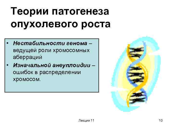Теории патогенеза опухолевого роста • Нестабильности генома – ведущей роли хромосомных аберраций • Изначальной