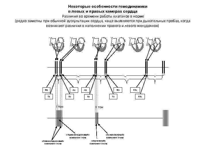 Некоторые особенности гемодинамики в левых и правых камерах сердца Различия во времени работы клапанов