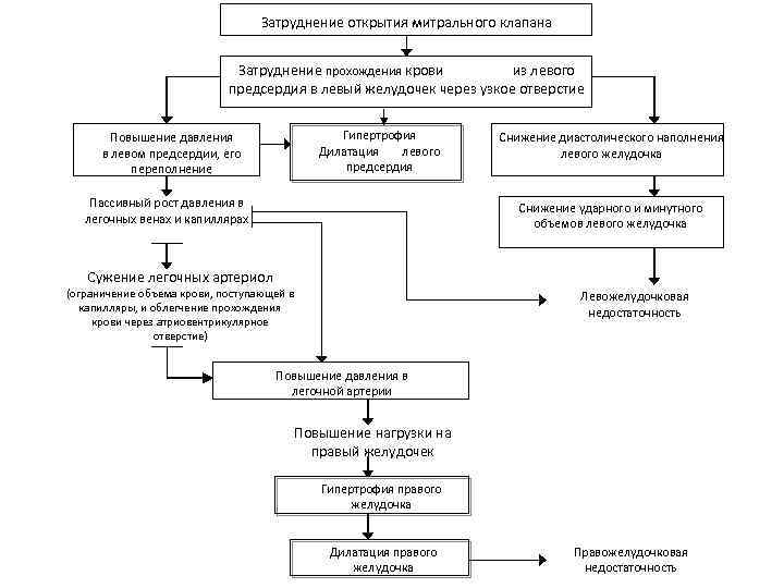 Патогенез митральной недостаточности схема