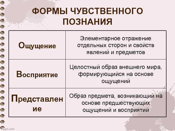 ФОРМЫ ЧУВСТВЕННОГО ПОЗНАНИЯ Ощущение Элементарное отражение отдельных сторон и свойств явлений и предметов Восприятие