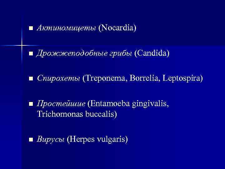 n Актиномицеты (Nocardia) n Дрожжеподобные грибы (Candida) n Спирохеты (Treponema, Borrelia, Leptospira) n Простейшие