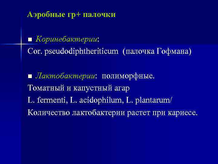 Аэробные гр+ палочки Коринебактерии: Cor. pseudodiphtheriticum (палочка Гофмана) n Лактобактерии: полиморфные. Томатный и капустный