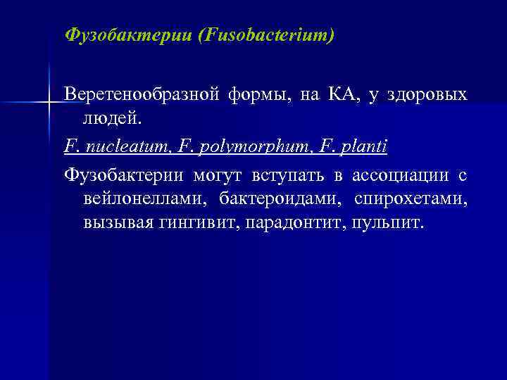 Фузобактерии (Fusobacterium) Веретенообразной формы, на КА, у здоровых людей. F. nucleatum, F. polymorphum, F.