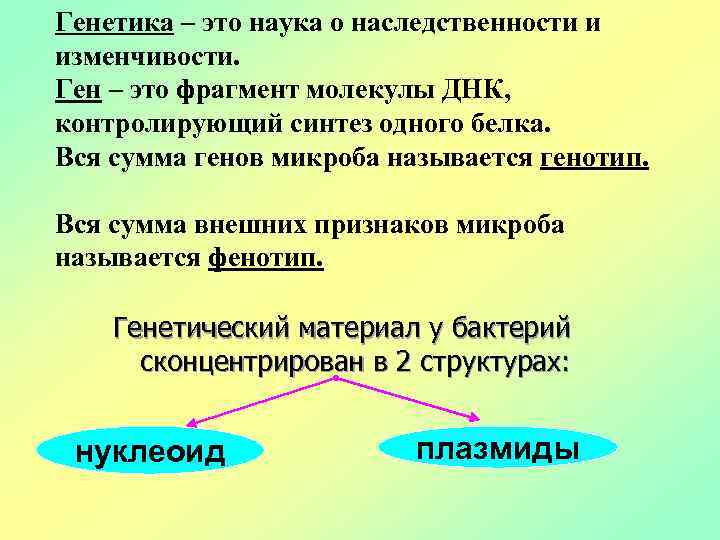 Генетика – это наука о наследственности и изменчивости. Ген – это фрагмент молекулы ДНК,