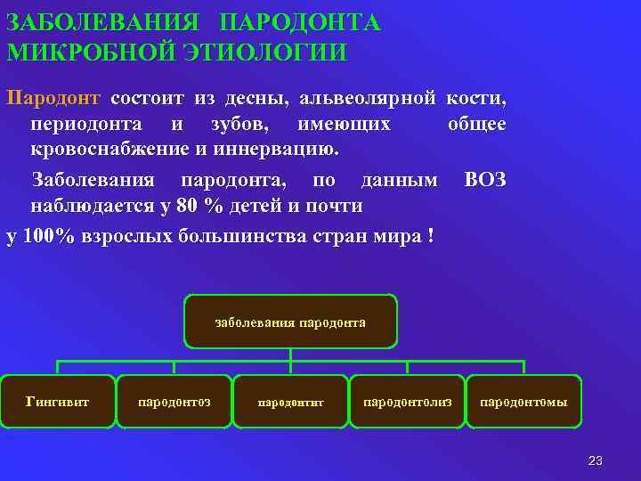 ЗАБОЛЕВАНИЯ ПАРОДОНТА МИКРОБНОЙ ЭТИОЛОГИИ Пародонт состоит из десны, альвеолярной кости, периодонта и зубов, имеющих