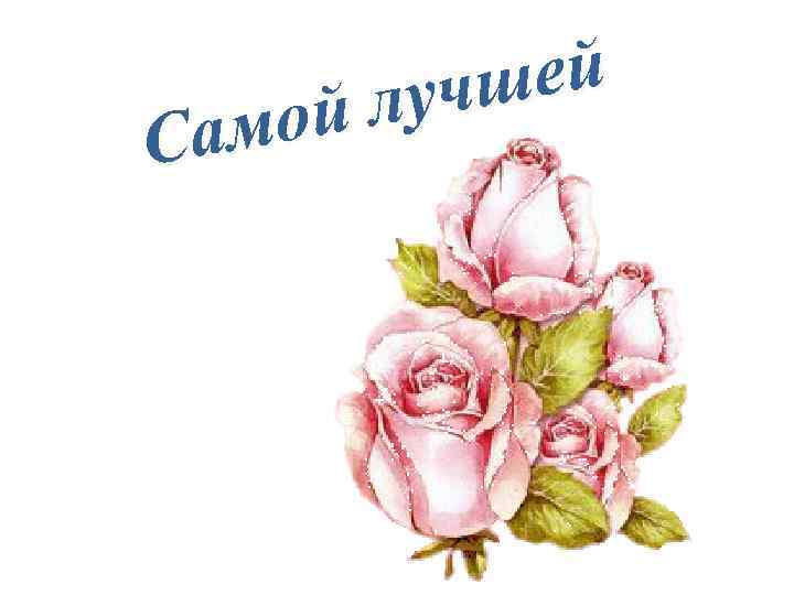 ей учш йл амо С 