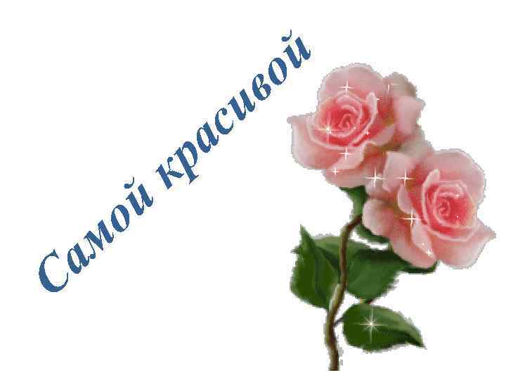 й о м а С й о в и с а р к 