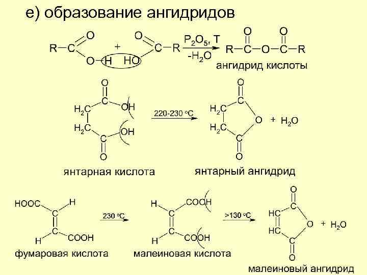 Реакция in vivo