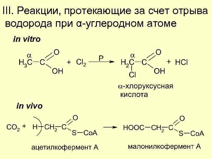 Реакция in vivo