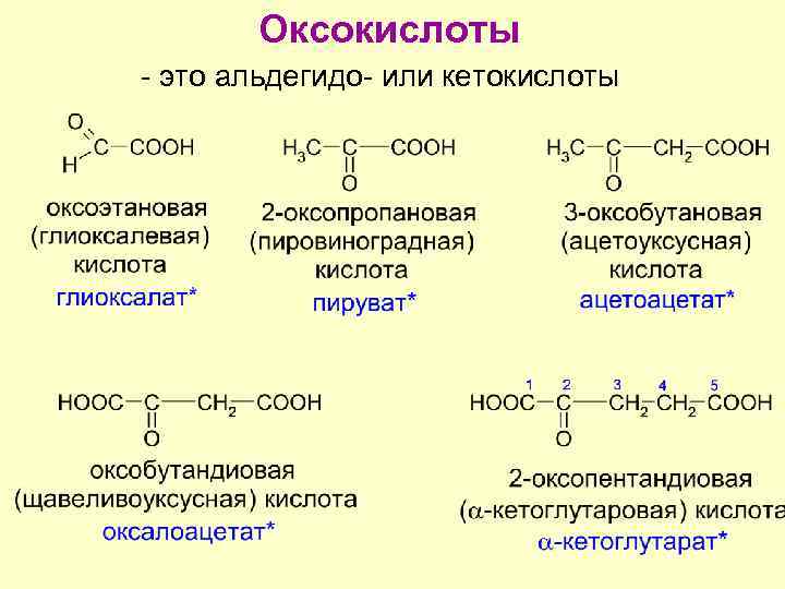 Формула кислоты являющейся альдегидокислотой. Изомерия кетокислот. Альфа кетокислоты формулы. Структурная формула кетокислота. Оксокислоты альдегидо- и кетокислоты.