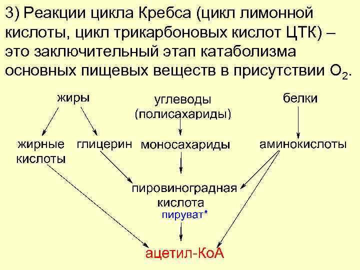 Реакции цикла. Ключевые реакции цикла лимонной кислоты. Анаплеротические реакции цикла Кребса. Цикл Кребса лимонная кислота. Заключительный этап катаболизма.