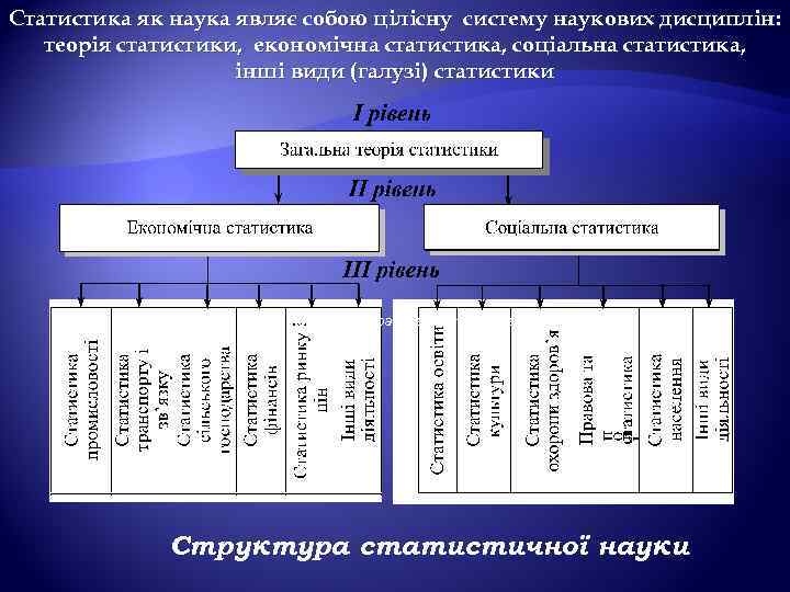 Статистика як наука являє собою цілісну систему наукових дисциплін: теорія статистики, економічна статистика, соціальна