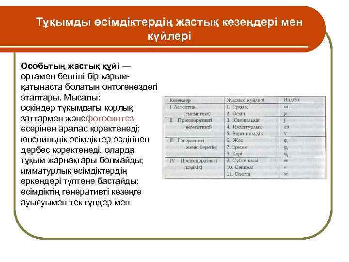 Тұқымды өсімдіктердің жастық кезеңдері мен күйлері Особьтың жастық құйі — ортамен белгілі бір қарымқатынаста