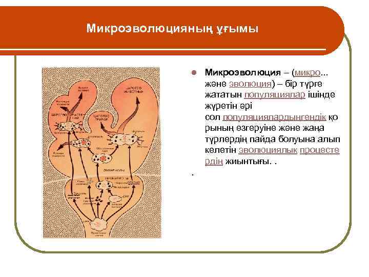  Микроэволюцияның l . ұғымы Микроэволюция – (микро. . . және эволюция) – бір