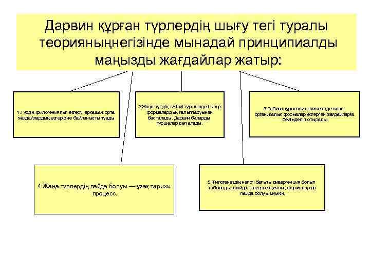 Дарвин құрған түрлердің шығу тегі туралы теорияныңнегізінде мынадай принципиалды маңызды жағдайлар жатыр: 1. Түрдің