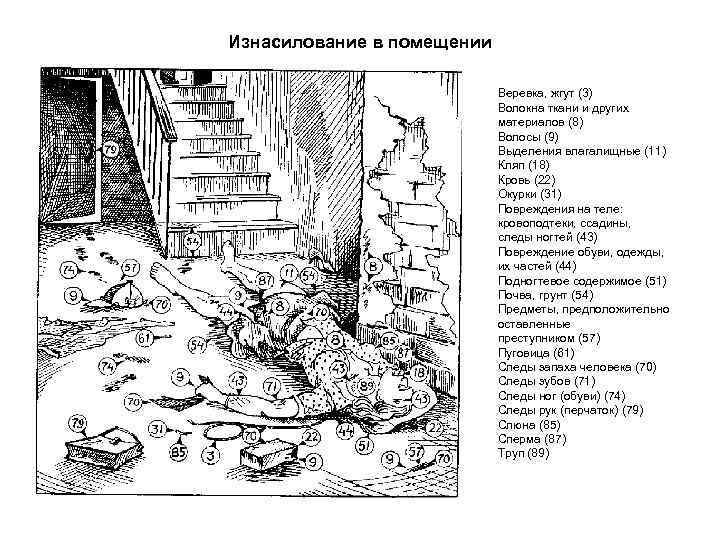 Изнасилование в помещении Веревка, жгут (3) Волокна ткани и других материалов (8) Волосы (9)