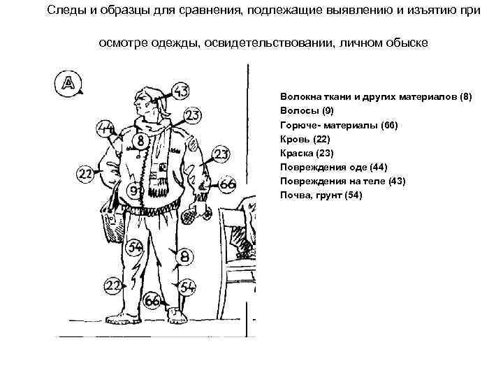 Следы и образцы для сравнения, подлежащие выявлению и изъятию при осмотре одежды, освидетельствовании, личном