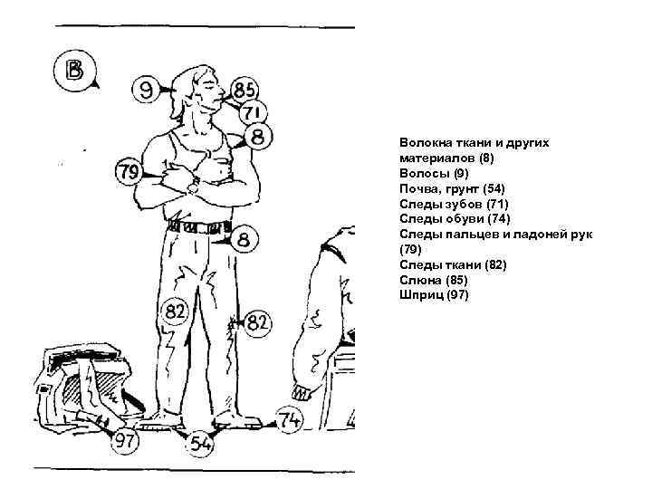 Волокна ткани и других материалов (8) Волосы (9) Почва, грунт (54) Следы зубов (71)