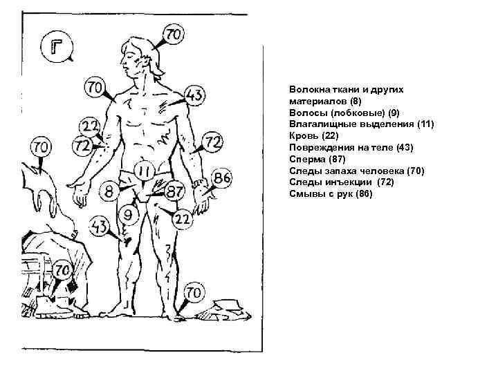 Волокна ткани и других материалов (8) Волосы (лобковые) (9) Влагалищные выделения (11) Кровь (22)