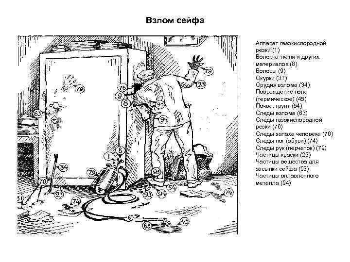 Взлом сейфа Аппарат газокислородной резки (1) Волокна ткани и других материалов (8) Волосы (9)