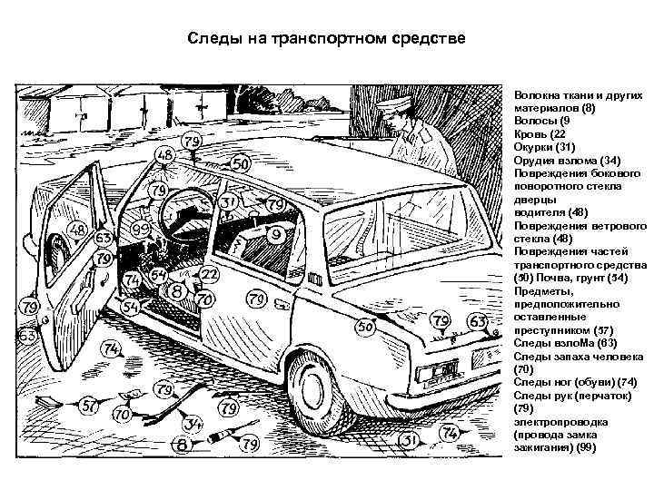 Следы на транспортном средстве Волокна ткани и других материалов (8) Волосы (9 Кровь (22