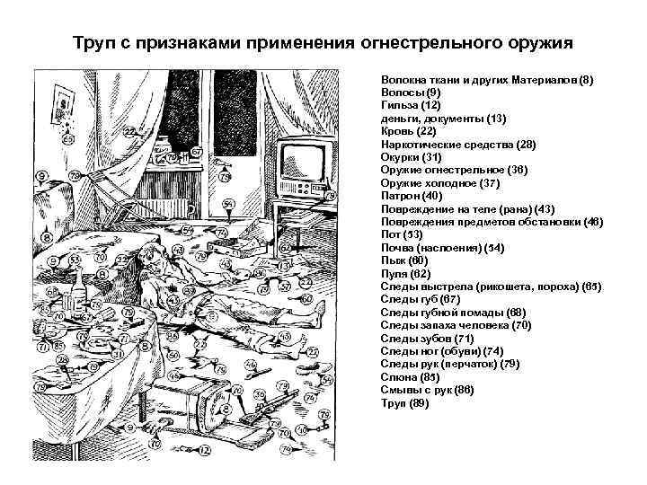 Труп с признаками применения огнестрельного оружия Волокна ткани и других Материалов (8) Волосы (9)