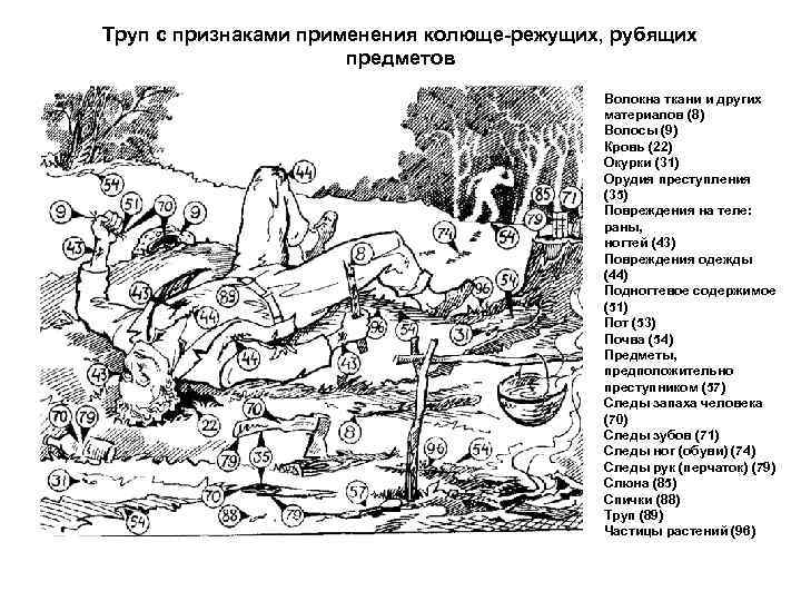 Труп с признаками применения колюще-режущих, рубящих предметов Волокна ткани и других материалов (8) Волосы