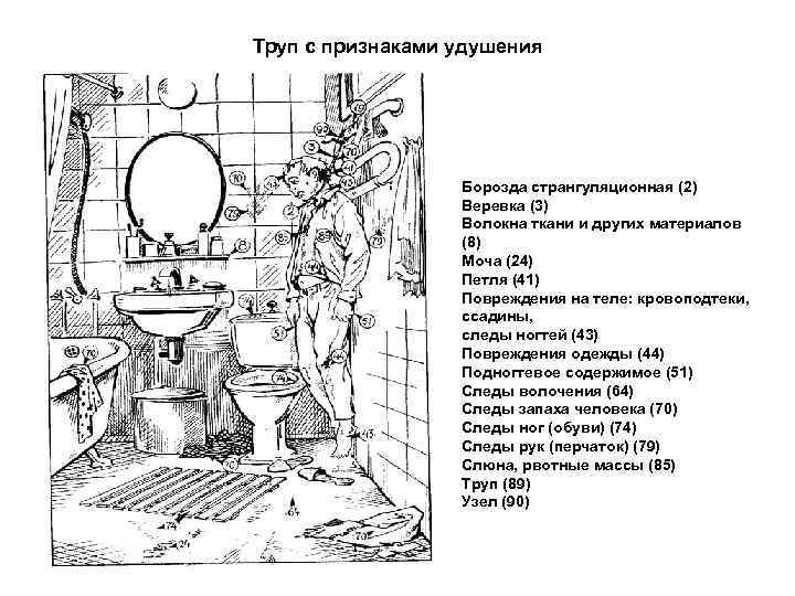 Труп с признаками удушения Борозда странгуляционная (2) Веревка (3) Волокна ткани и других материалов