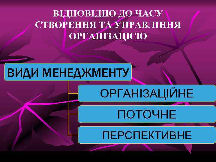 ВІДПОВІДНО ДО ЧАСУ СТВОРЕННЯ ТА УПРАВЛІННЯ ОРГАНІЗАЦІЄЮ ВИДИ МЕНЕДЖМЕНТУ ОРГАНІЗАЦІЙНЕ ПОТОЧНЕ ПЕРСПЕКТИВНЕ 
