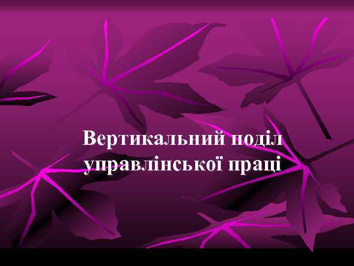 Вертикальний поділ управлінської праці 