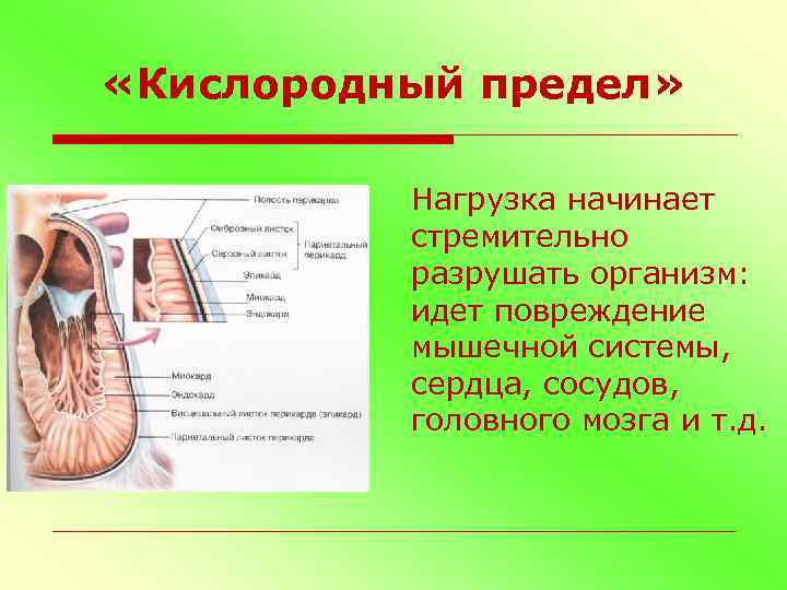  «Кислородный предел» Нагрузка начинает стремительно разрушать организм: идет повреждение мышечной системы, сердца, сосудов,