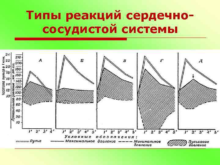 Типы реакций сердечнососудистой системы 