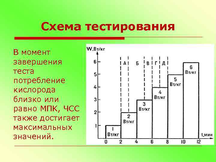 Схема тестирования В момент завершения теста потребление кислорода близко или равно МПK, ЧСС также