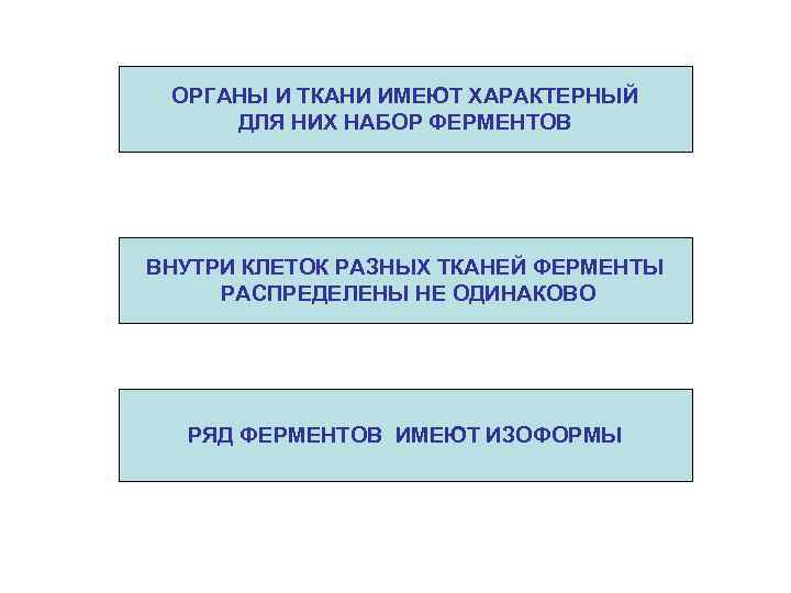ОРГАНЫ И ТКАНИ ИМЕЮТ ХАРАКТЕРНЫЙ ДЛЯ НИХ НАБОР ФЕРМЕНТОВ ВНУТРИ КЛЕТОК РАЗНЫХ ТКАНЕЙ ФЕРМЕНТЫ