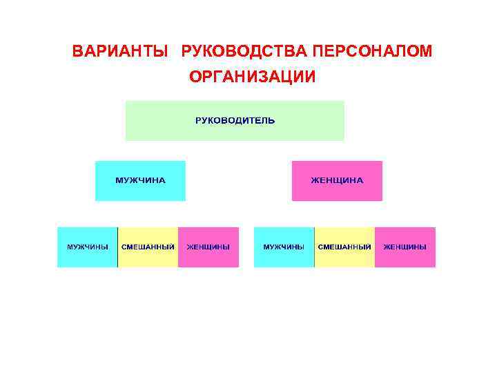 ВАРИАНТЫ РУКОВОДСТВА ПЕРСОНАЛОМ ОРГАНИЗАЦИИ 