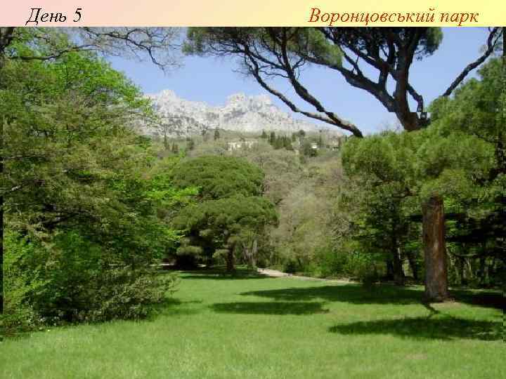 День 5 Воронцовський парк 