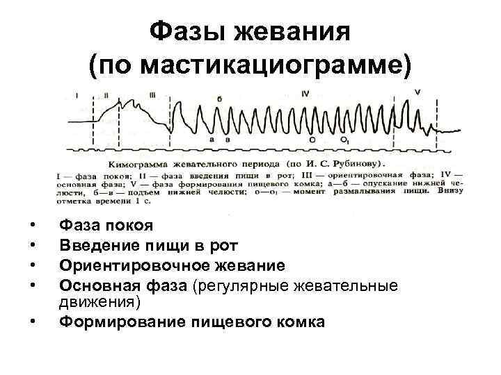 Фазы жевания (по мастикациограмме) • • • Фаза покоя Введение пищи в рот Ориентировочное