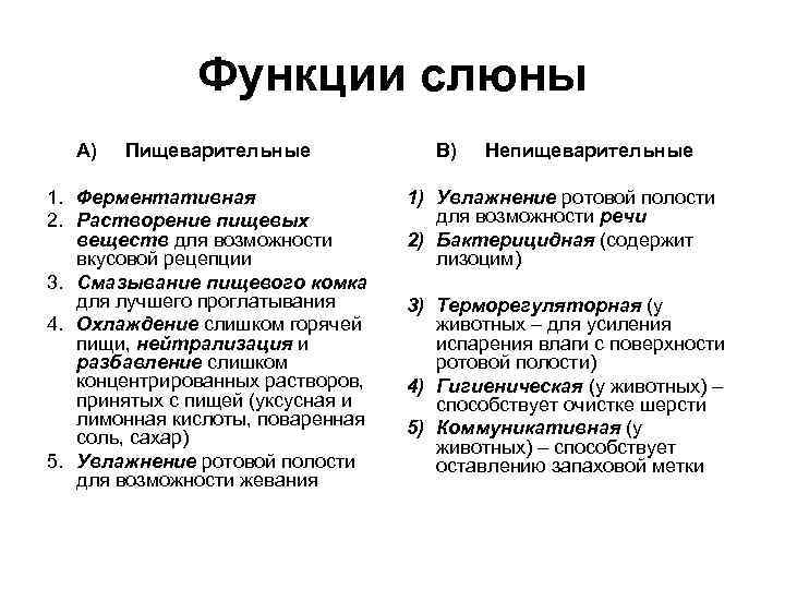 Функции слюны А) Пищеварительные 1. Ферментативная 2. Растворение пищевых веществ для возможности вкусовой рецепции